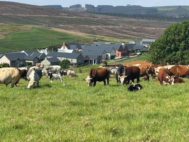 Land for sale in Howick, uMgeni Local Municipality