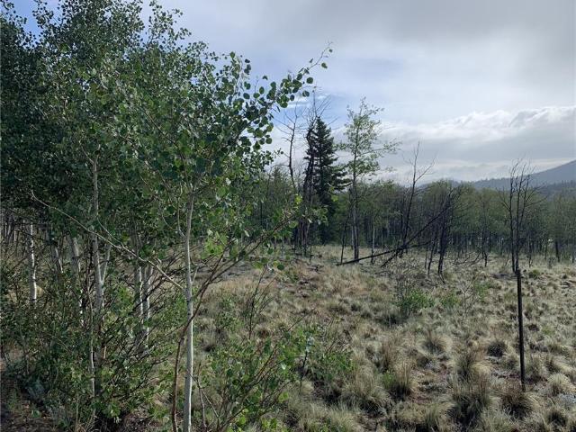 Land for sale in Colorado