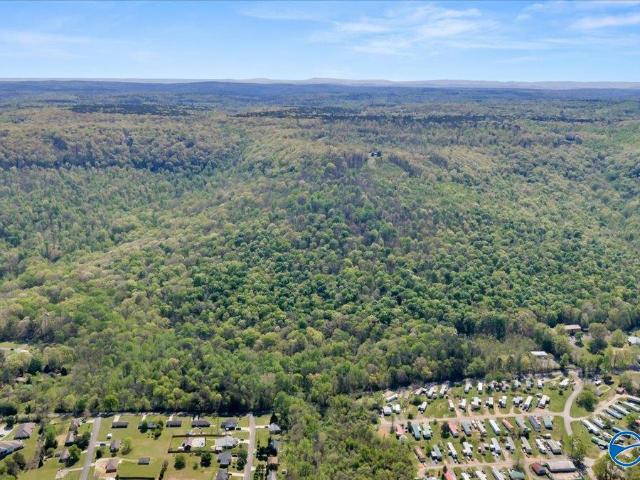 Land for sale in Flat Rock, Alabama