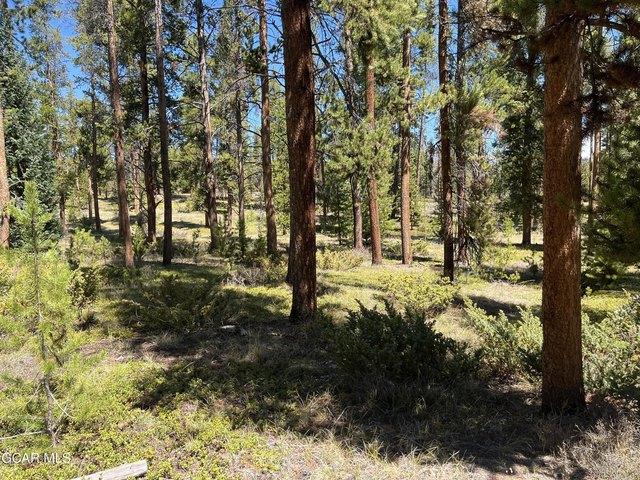 Land for sale in Tabernash, Colorado