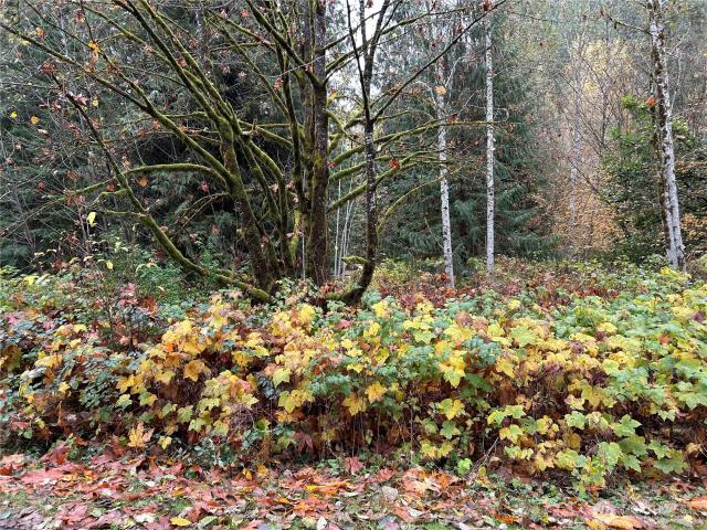 Land for sale in Concrete, Washington