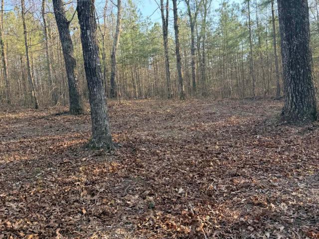 Land for sale in Hamilton, Alabama