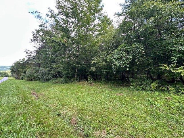 Land for sale in Belmont, New York