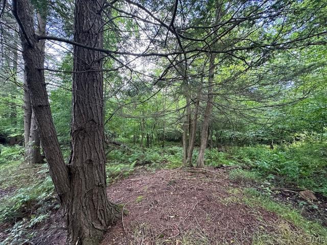 Land for sale in Belmont, New York