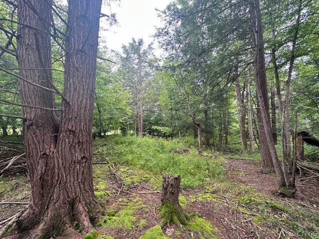 Land for sale in Belmont, New York