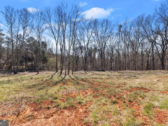 Land for sale in Carnesville, Franklin County