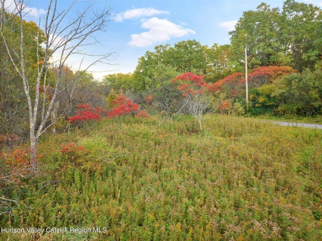 Land for sale in Town of Seward, Schoharie County
