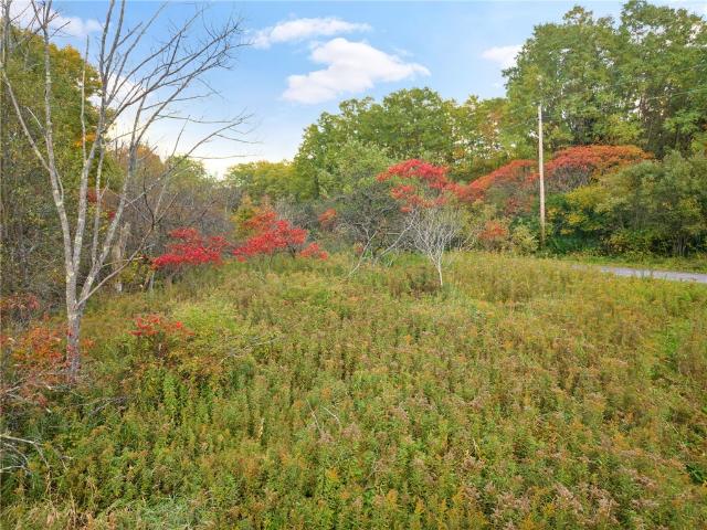 Land for sale in Town of Seward, Schoharie County