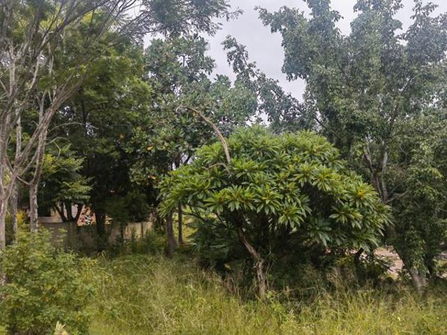 Land for sale in Ehlanzeni, Mpumalanga