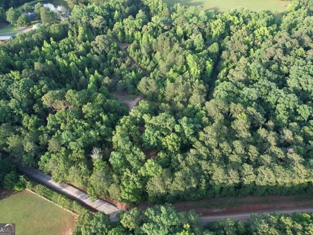 Land for sale in Spalding, Georgia