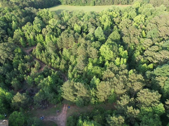 Land for sale in Spalding, Georgia
