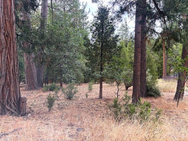 Land for sale in Idyllwild, California