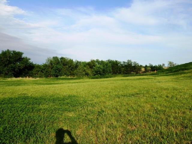 Land for sale in Buchanan, Missouri