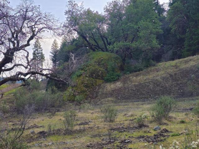 Property for sale in Laytonville, California
