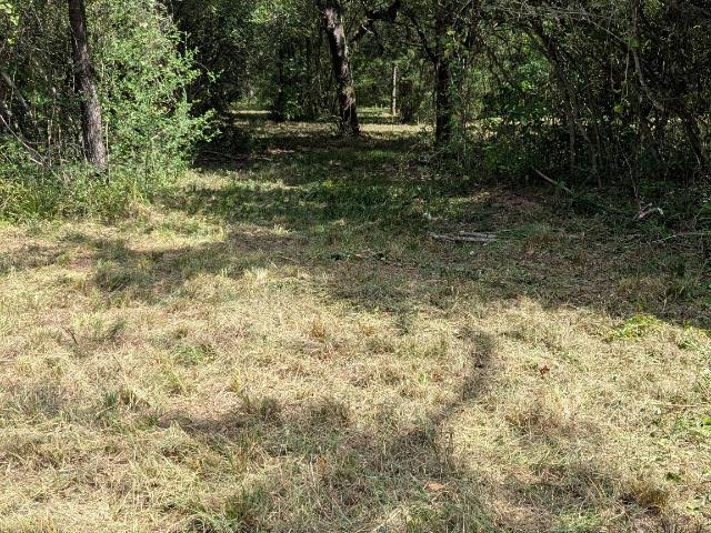 Land for sale in Leon, Texas