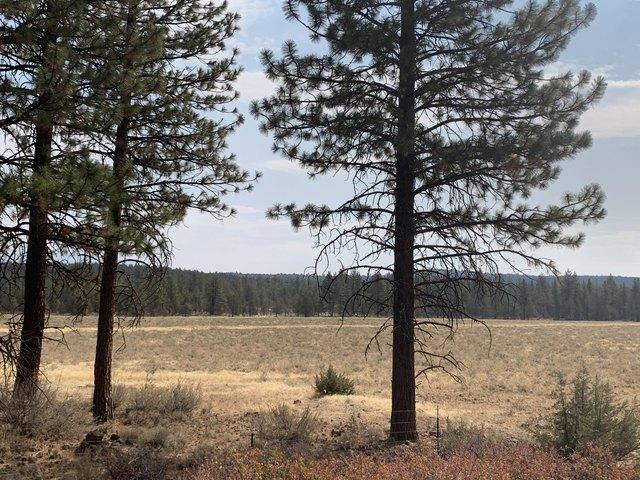 Land for sale in Modoc, California