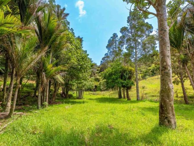 Property for sale in Ohaeawai, Northland