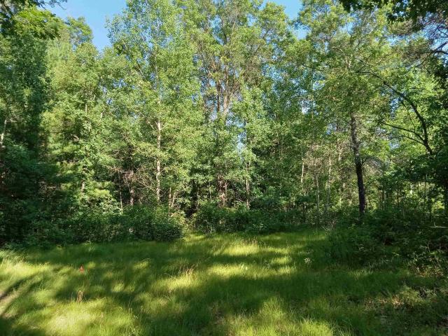 Land for sale in Nekoosa, Wisconsin