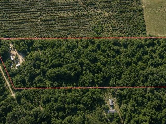 Land for sale in Folkston, Georgia