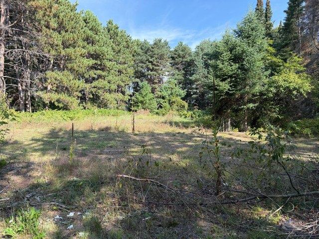 Land for sale in North Branch, Chisago County