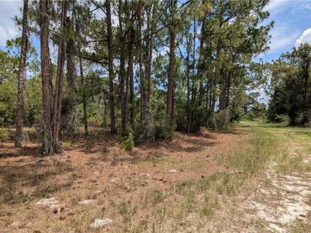 Land for sale in Lake Placid, Florida