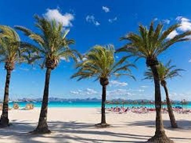 Casa en alquiler en el Camp, Serra de Tramuntana