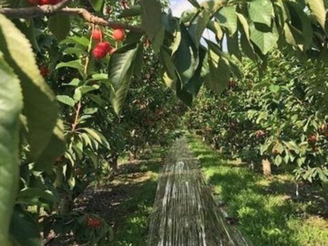 Farm for sale in Bridgeport, Douglas County