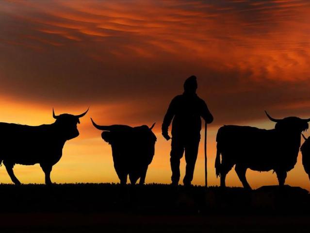 Gewerbe mieten in Gerschede, Essen