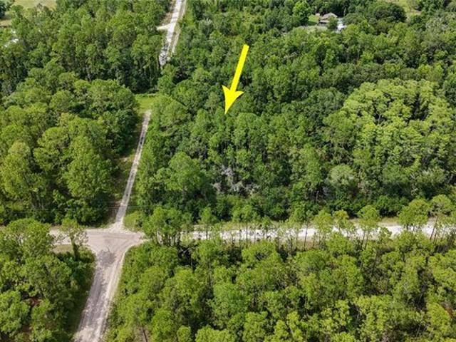 Land for sale in Bunnell, Florida