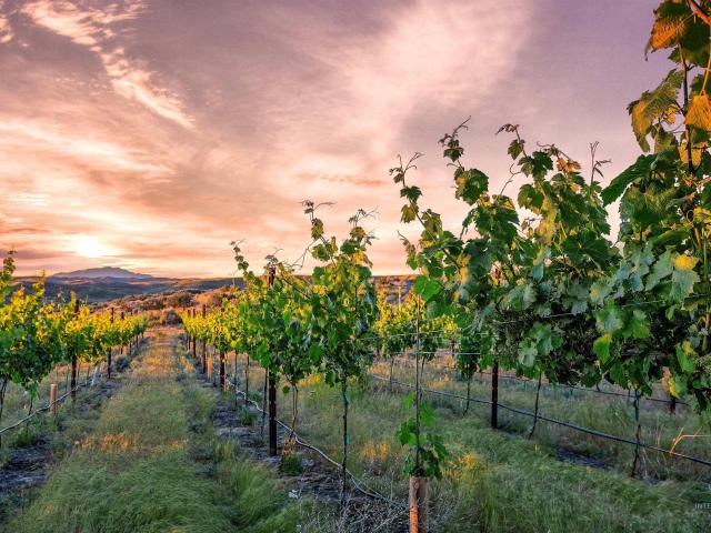 Commercial for sale in Eagle, Idaho