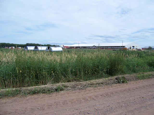 Land for sale in Rock Creek, Minnesota