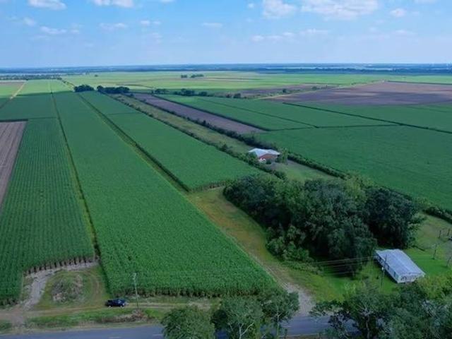 Farm for sale in Franklin, Louisiana