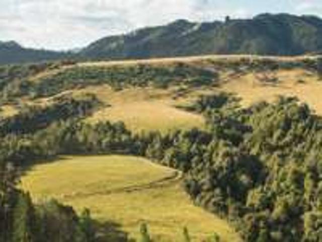 Apartment for rent in Wanganui District