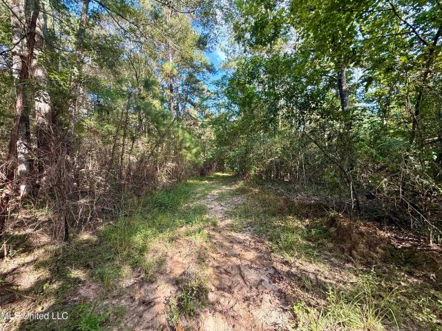 Property for sale in Liberty, Mississippi
