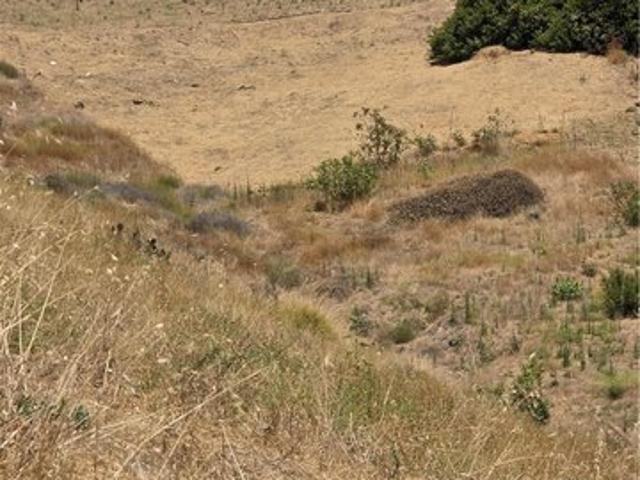 Land for sale in Canoga Park, California