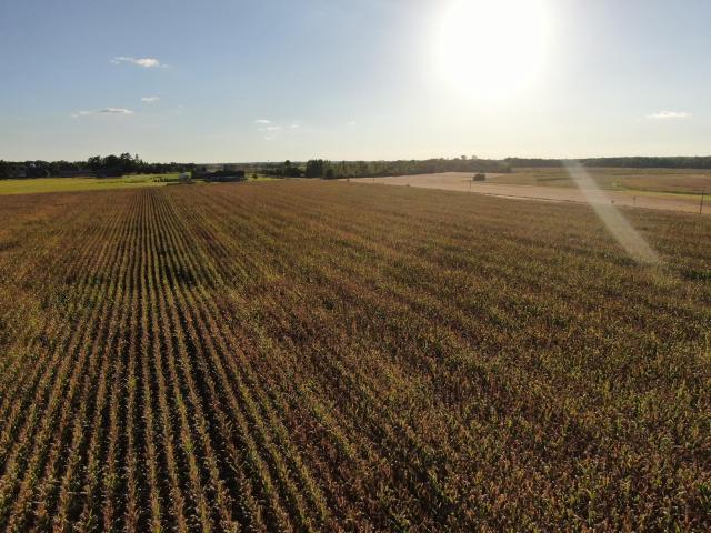 Land for sale in Benton, Minnesota