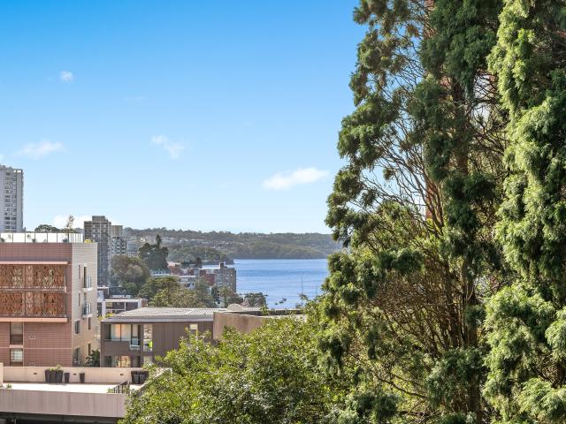 Apartment for rent in Edgecliff