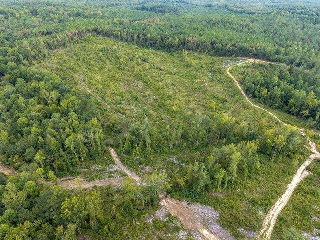 Land for sale in Coffeeville, Mississippi