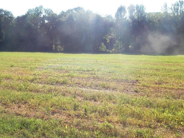 Land for sale in Bruce, Calhoun County