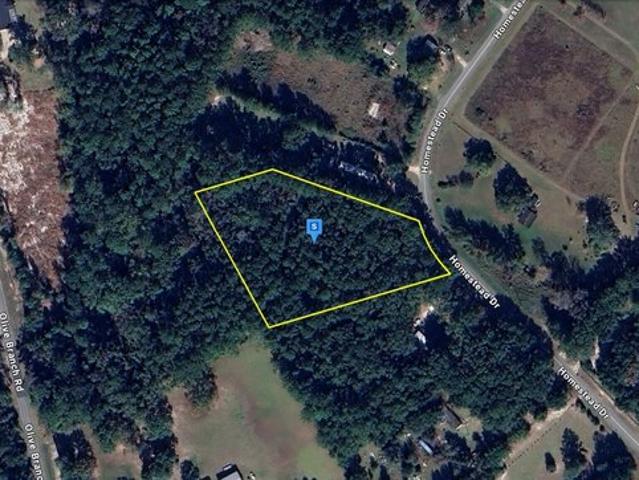 Land for sale in Ellabell, Georgia