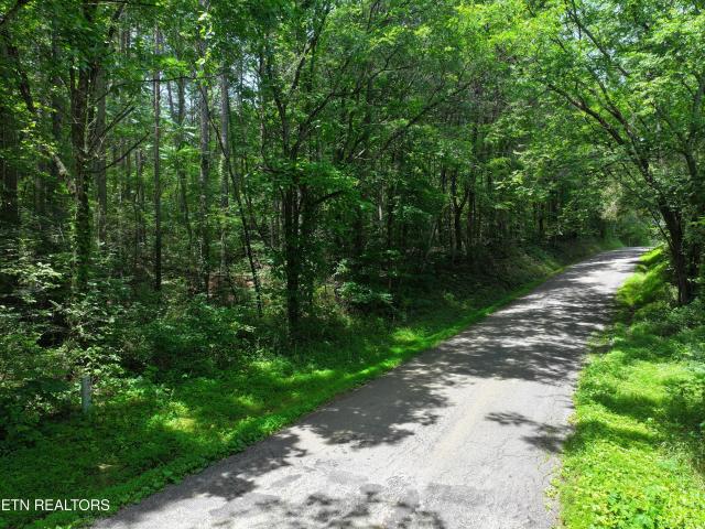 Land for sale in Tennessee