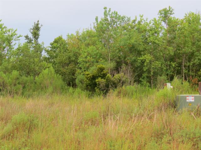 Land for sale in Liberty, Texas
