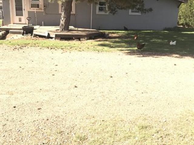 House for sale in Forgan, Oklahoma