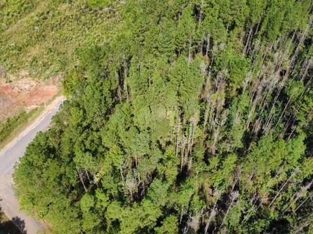 Land for sale in Liberty, Mississippi