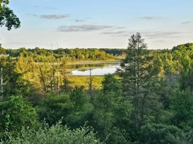 Land for sale in Grass Lake, Michigan