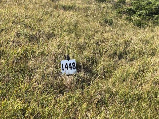 Land for sale in Bushmans River Mouth, Eastern Cape