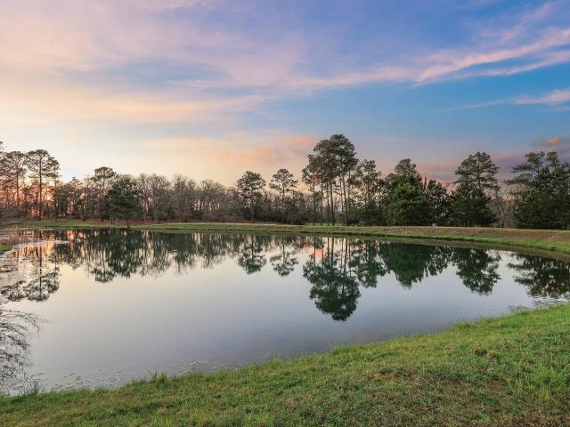 House for sale in Bastrop, Texas