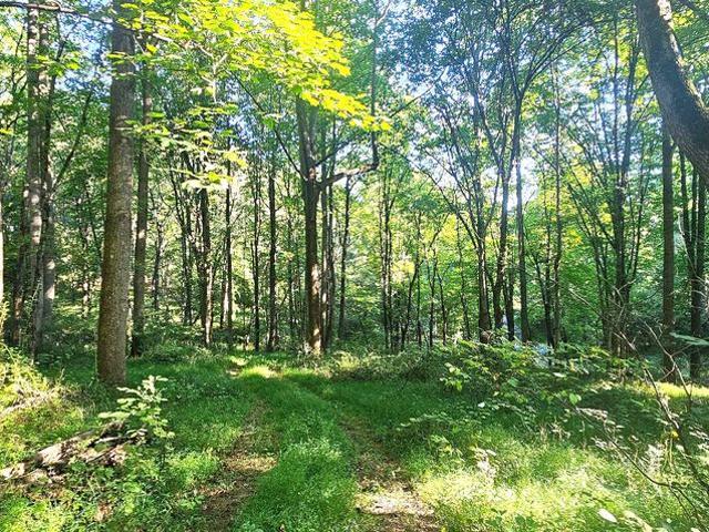 Land for sale in Mount Airy, Carroll County