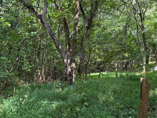 House for sale in Tuscumbia, Alabama
