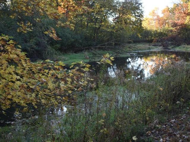 Land for sale in Hennepin, Minnesota